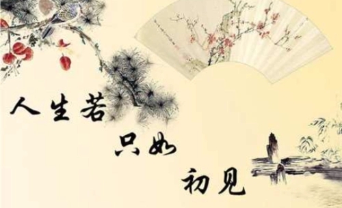 描写爱情的诗句文案