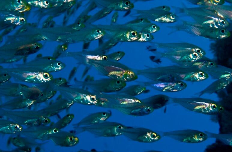 优美句子文案摘抄加赏析