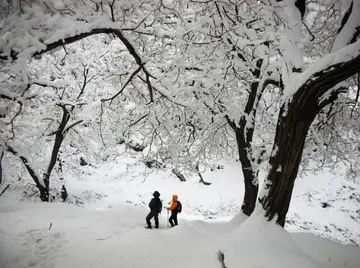 关于冬天五六个字的短句