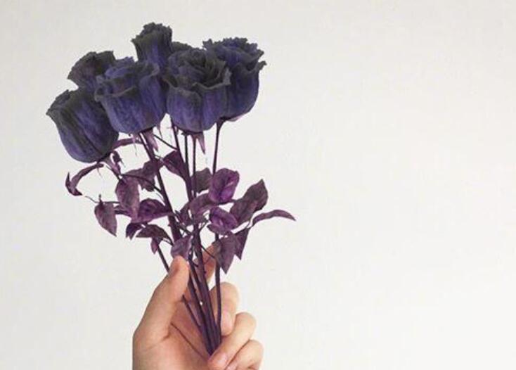 大半夜睡不着觉心情说说文案