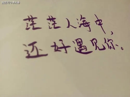 关于遇见的唯美短句