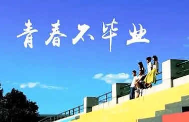 感恩母校的句子文案