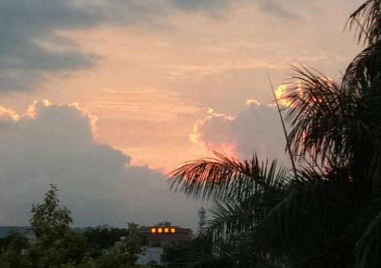 等风来不如追风去类似句子文案