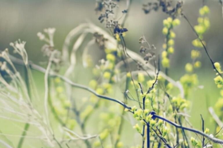 励志的心灵鸡汤文章