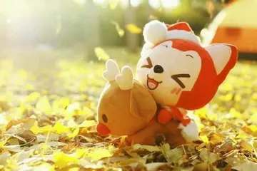 从心里感激一个人的说说文案