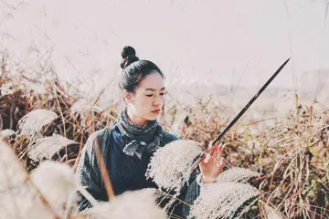 孤傲高冷的诗句文案