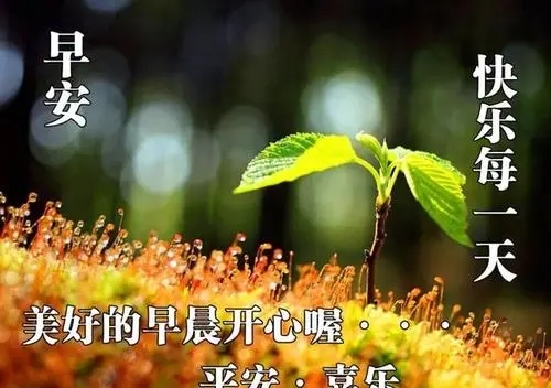 周六愉快早安的句子文案