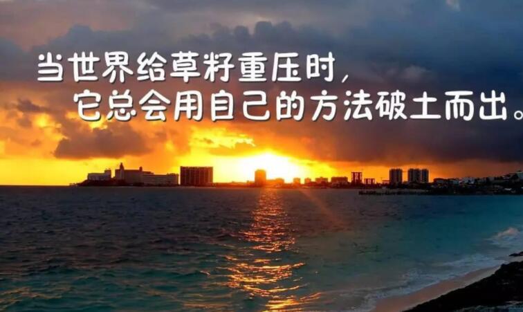 高考英文励志语录文案经典短句