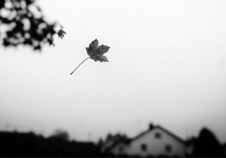 永远珍惜一个人的句子文案