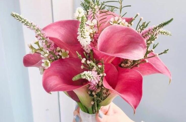 关于元旦的摘抄内容