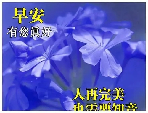 情人一天一句早安问候语