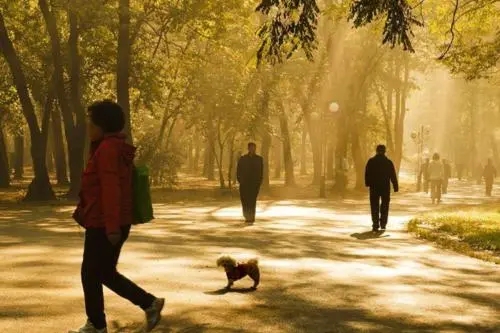 早上出来散步的说说文案