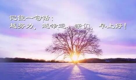 让自己美的句子文案