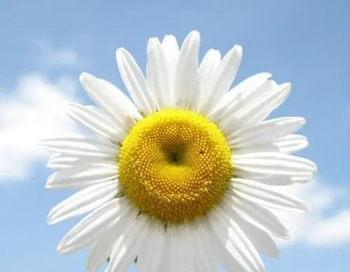 鼓励自己短语霸气