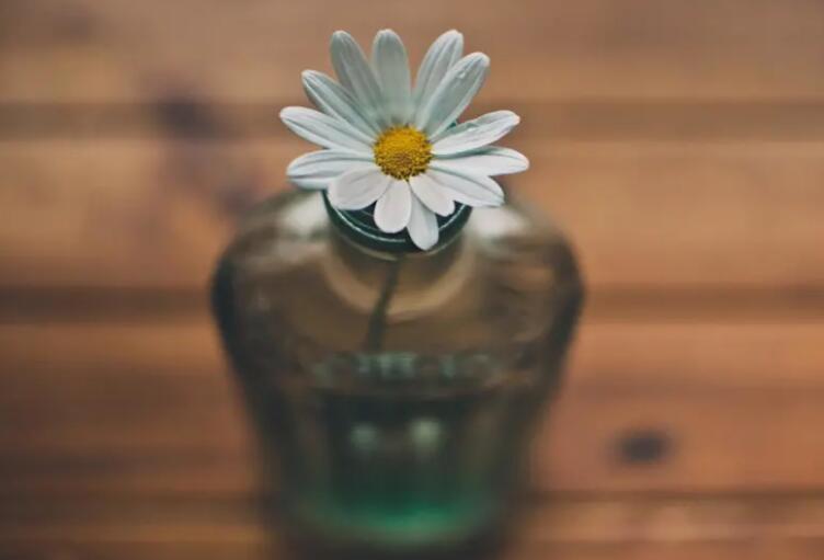 心情低落适合发朋友圈的句子文案