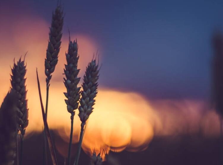 6个字的暖心的短句