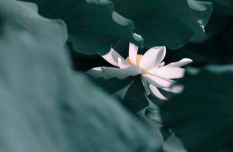 一转身就是一辈子伤感句子文案