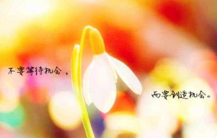 寓意好运的句子文案