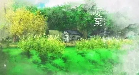 跟T恤相关的夏日句子文案