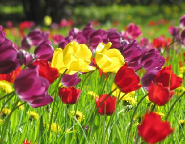 仿写三个描写颜色的句子文案