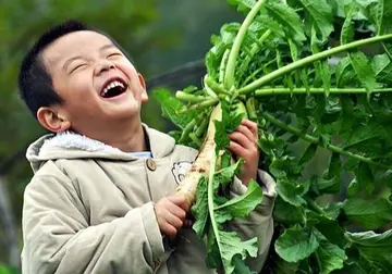 表达心情很开心的句子文案