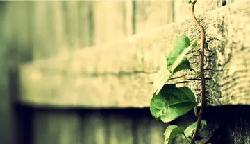 表示即将离开的句子文案