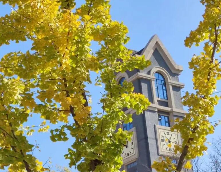 描写校园景色的段落