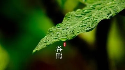 谷雨这首古诗
