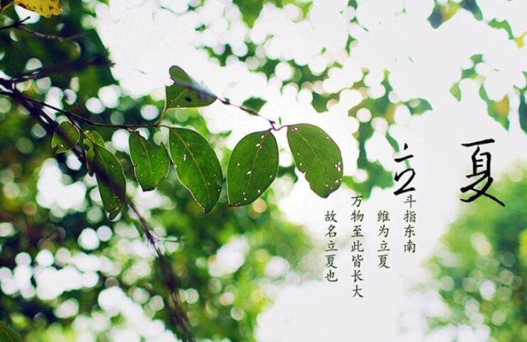 描写二十四节气的诗词