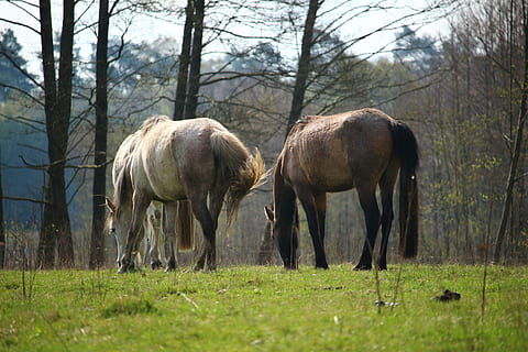 低调宣布结婚短句