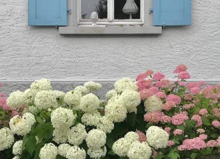 春天甜甜的文案