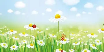 好词好句文案写景