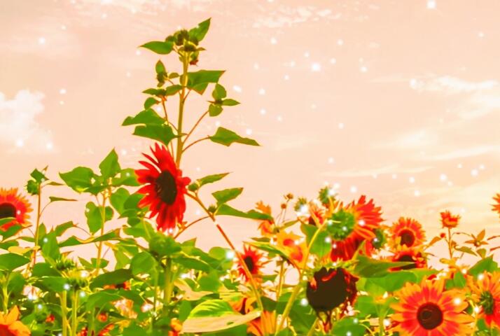 正能量精简短句