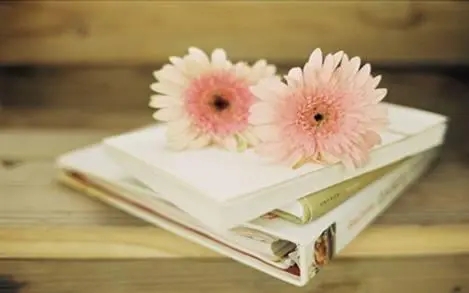 高情商骂人不带脏字