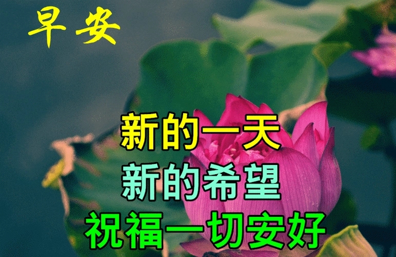 好字的祝福语大全