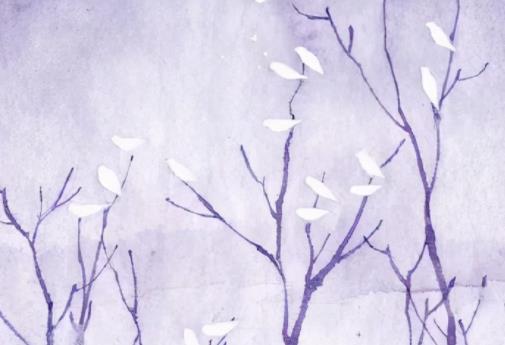 抄写精美句200字