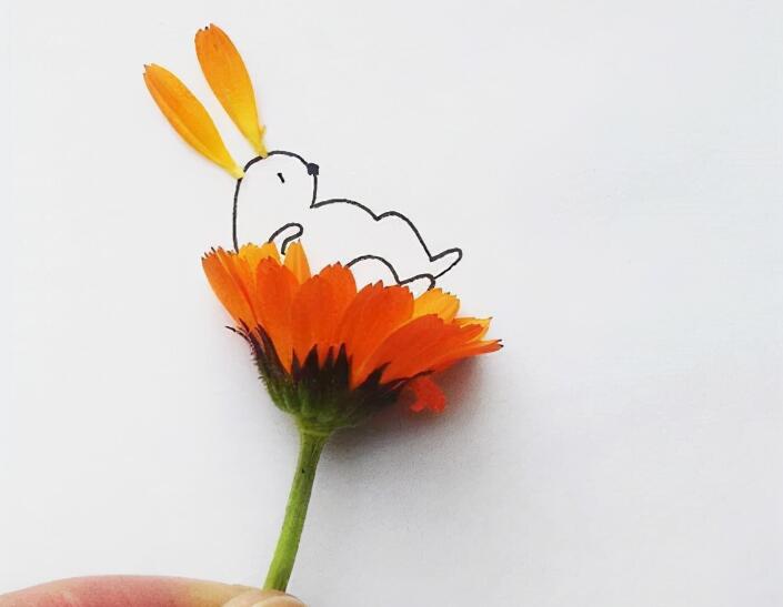 比较吸引人的个性签名