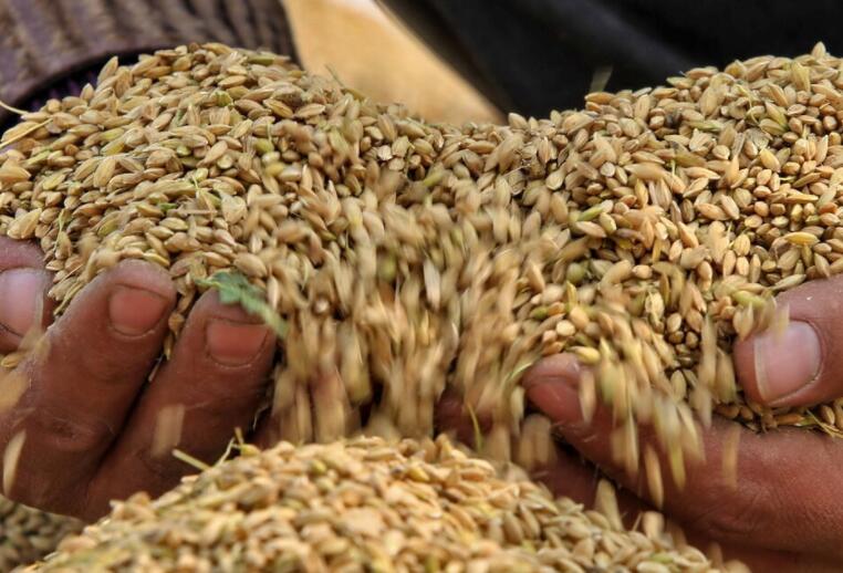 节约粮食杜绝浪费的名言