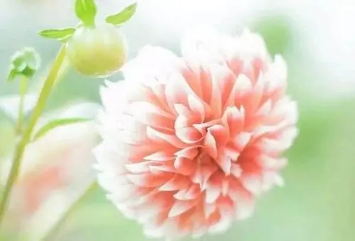 个性签名女生简单气质2024