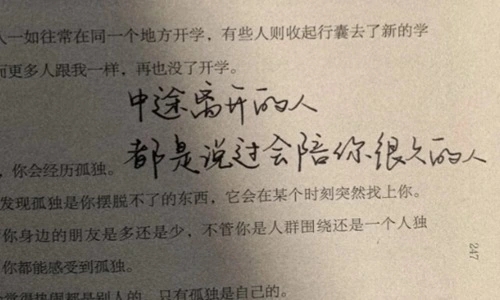 抖音关注量多的说说文案