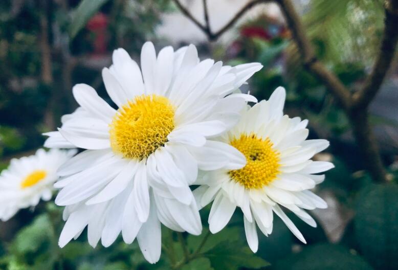 真诚相待的说说文案简短