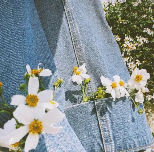 令人心动的春天文案