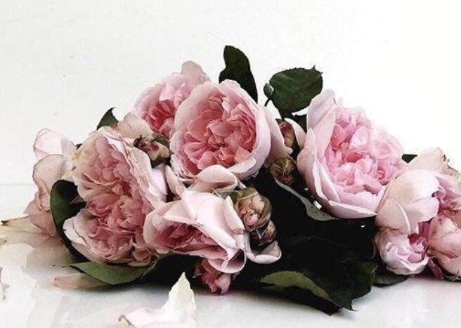 知乎上优美句子文案