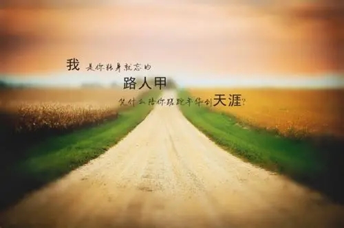 关于路人经典句子文案