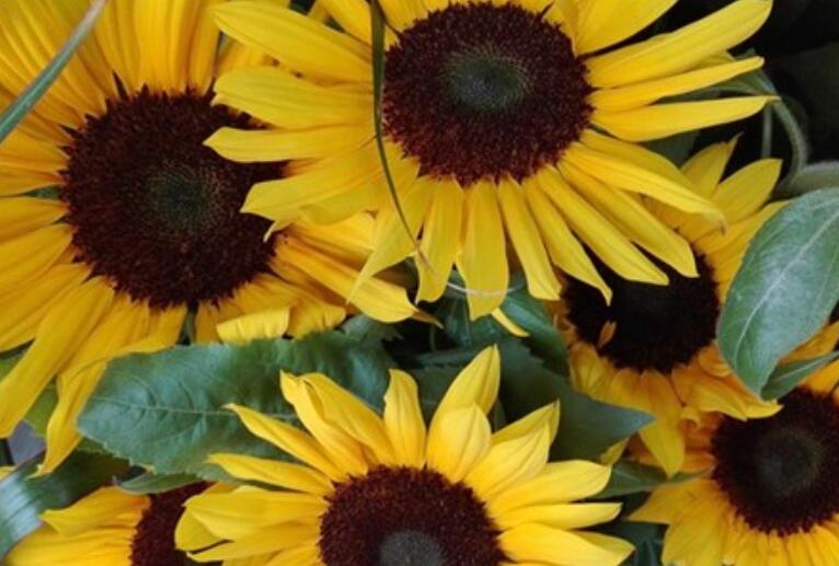 励志句子文案唯美短句