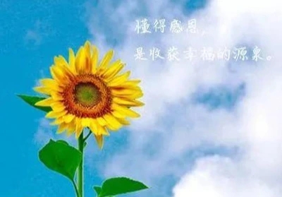 发朋友圈的励志激励句子文案