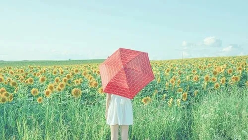 关于睡不着的土味情话文案