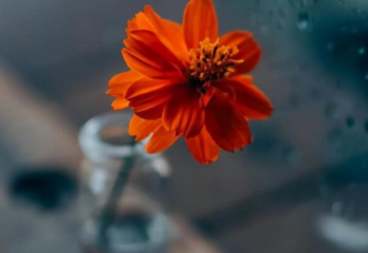 公司团建励志的句子文案