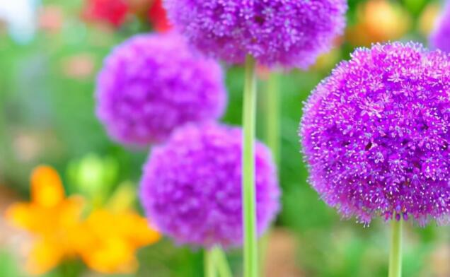 晚上暖心的句子文案