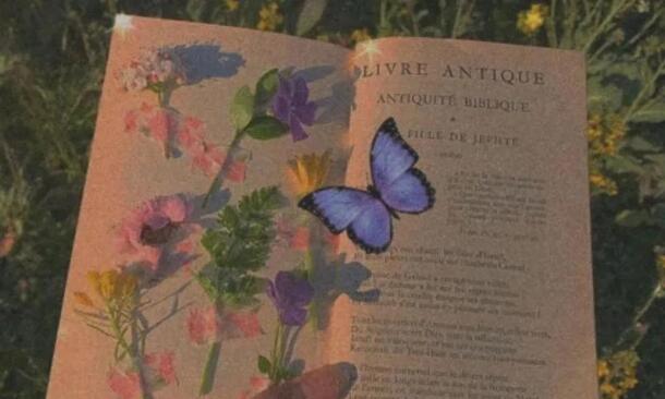 个人感情励志的句子文案